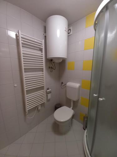 Koupelna v ubytování Apartma Happy