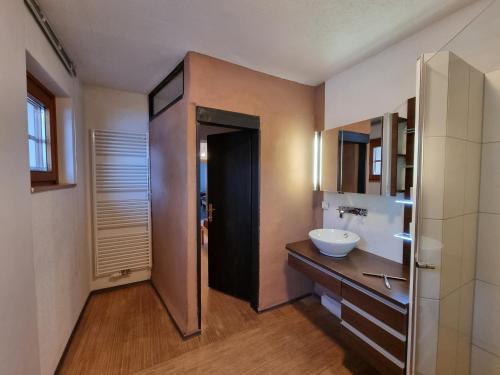 a bathroom with a sink and a mirror at Alina's DIY-Haus St.Jakob in Innere Großrotte