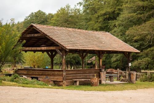 a wooden pavilion with a horse in a field at Ranč Červený mlýn in Lisov