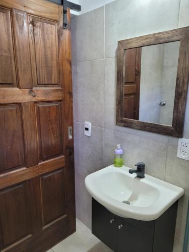 a bathroom with a sink and a mirror at Tierra del sur in El Bolsón