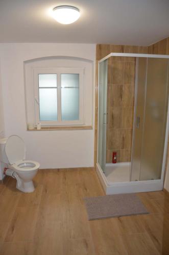 Apartmány U Soptíkaにあるバスルーム