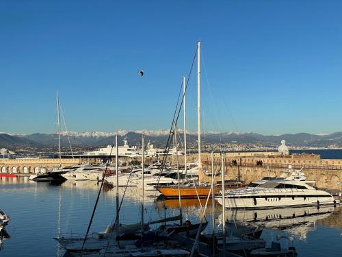 Nice Renting - MASSENA - LOFT - HEART of VIEIL ANTIBES - THE MARKET WITH SEA VIEW photo 35