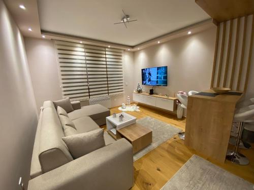 Una sala de estar con un sofá y un televisor. en Jellenaa, en Zlatibor