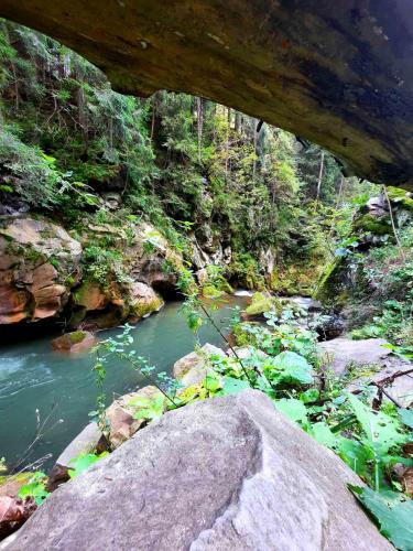 a bridge over a river in a forest at Villa Opir in Skole