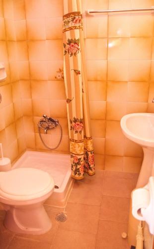 a bathroom with a toilet and a shower and a sink at Stavroula Rooms in Makrirrákhi