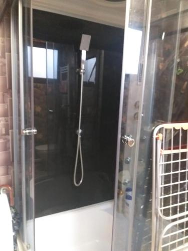 a shower with a glass door in a room at Popasul Dacilor in Predeluţ