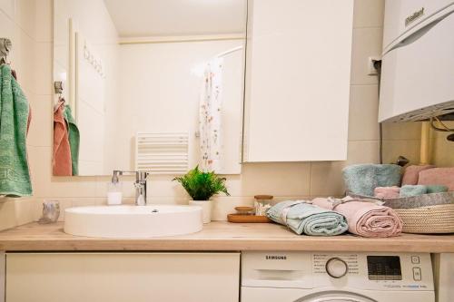 a kitchen with a sink and a washing machine at Lovely apartment MIRA near Airport Zagreb in Velika Gorica