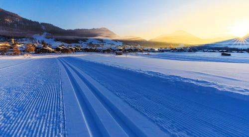 a snow covered road with houses and mountains in the background at Superior Suite Bergparadies Sauna - barrierfree in Inzell