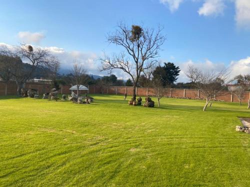 a group of animals sitting in a grass field at Departamento con gran área verde in Zacatlán