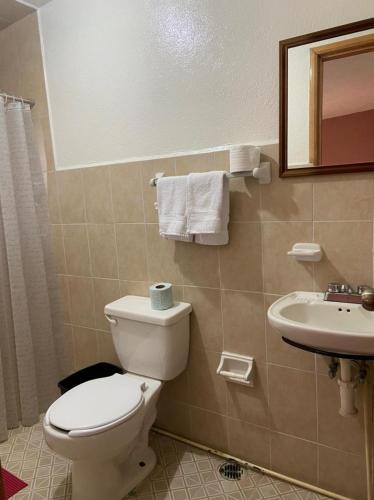 a bathroom with a toilet and a sink at Departamento con gran área verde in Zacatlán