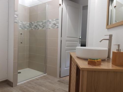 une salle de bain avec un lavabo et une douche dans l'établissement Maison Familiale proche Zoo de Beauval à Selles sur Cher GITE A l'Ombre du Saule, à Selles-sur-Cher