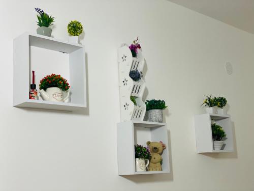 two white shelves with potted plants and a mirror at B&B Marrelli Crotone in Crotone