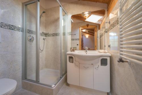 a bathroom with a sink and a shower and a toilet at Runk Apartments in Siusi