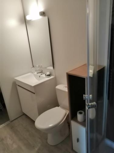 ein Bad mit einem WC, einem Waschbecken und einer Dusche in der Unterkunft STUDIO NOYANT VILLAGES in Noyant