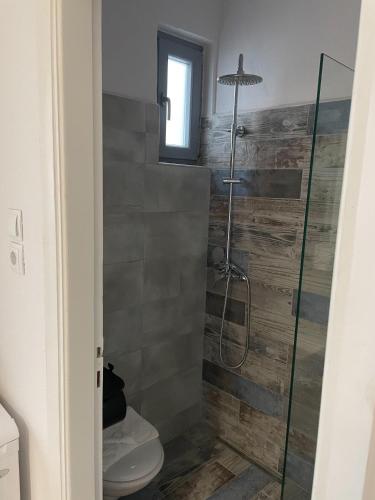 a bathroom with a toilet and a glass shower at Vrahos in Kardamaina