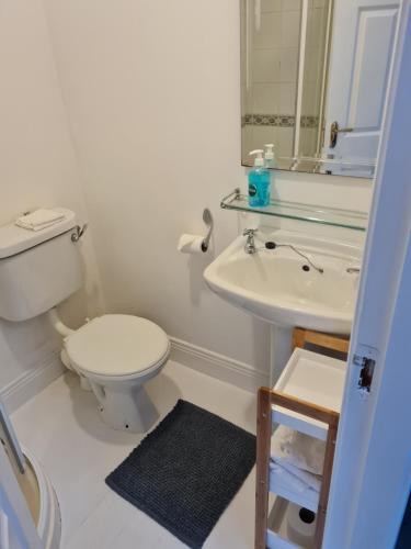 ein Badezimmer mit einem WC, einem Waschbecken und einem Spiegel in der Unterkunft 'The Haven' at Tranquil Water in Midleton