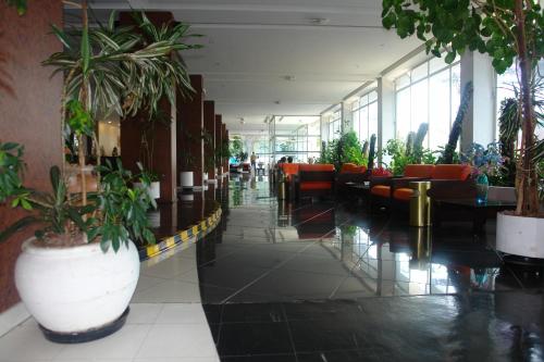 a lobby with chairs and potted plants in a building at Jóia Hotel in Poços de Caldas