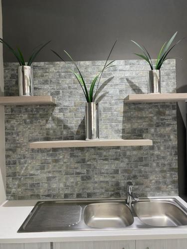 a kitchen sink with two potted plants on a brick wall at Adventure Apartment - Colchester - 5km from Elephant Park in Colchester