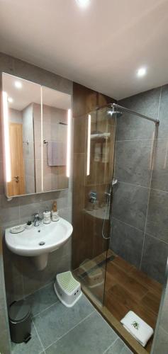 a bathroom with a shower and a sink and a toilet at Pinewood ANG luxurious apartment A43, Borovets Gardens in Borovets