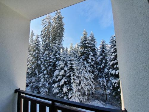 a picture of a winter forest with snow covered trees at Pinewood ANG luxurious apartment A43, Borovets Gardens in Borovets