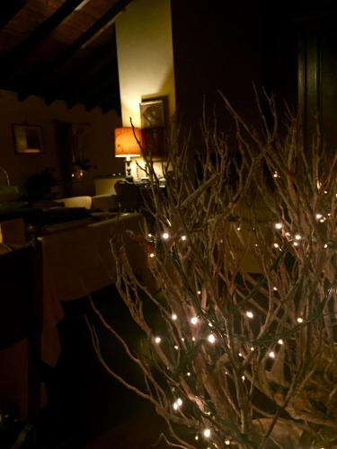 a close up of a christmas tree with lights at La Casa sui Tetti in Novi Ligure