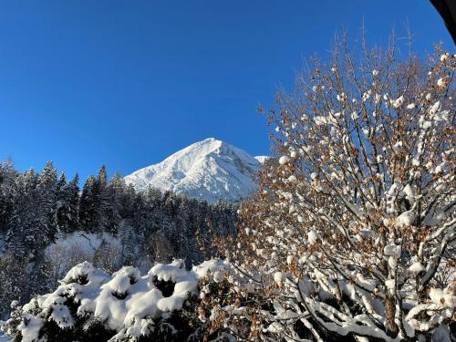 a snow covered tree with a mountain in the background at W6 Haus Ganghofer in Leutasch