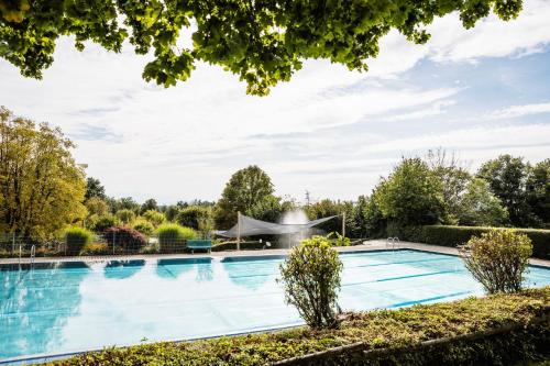 a swimming pool with a fountain in a garden at Wirthshof Hotel & Chalets in Markdorf