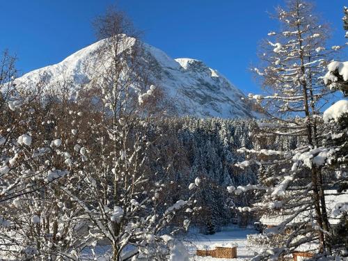 a mountain covered in snow with trees in front of it at W5 Haus Ganghofer in Leutasch