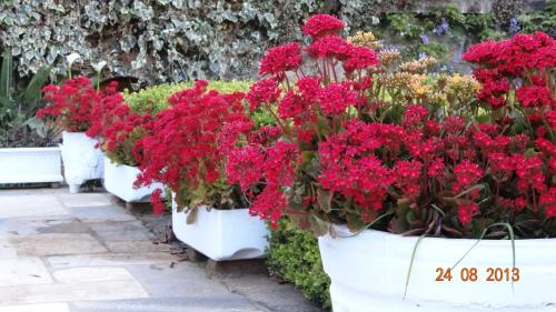 Κήπος έξω από το Hortensias Pousada Boutique - Piscina Aquecida 37 Graus e Fire Pit a Gas - Aceita PET