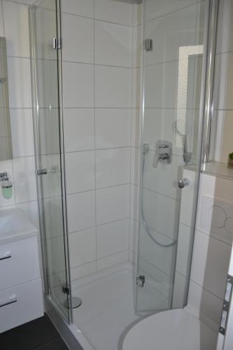 ein Bad mit einer Dusche, einem WC und einem Waschbecken in der Unterkunft Sophie Flair Apartment in Karlsruhe