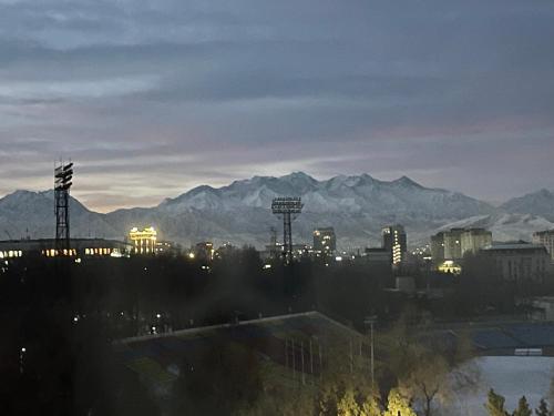 a view of a city with mountains in the background at Logvinenko apartment in Bishkek