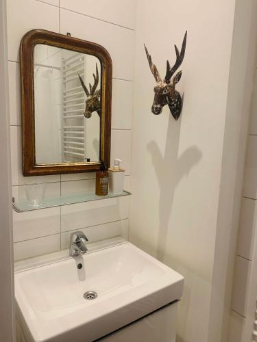 a bathroom with a sink and a mirror with deer heads on the wall at De Pelgrimsplaats in Leiden