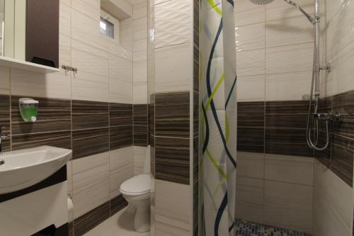 a bathroom with a toilet and a sink and a shower at Villa Medova in Kosiv