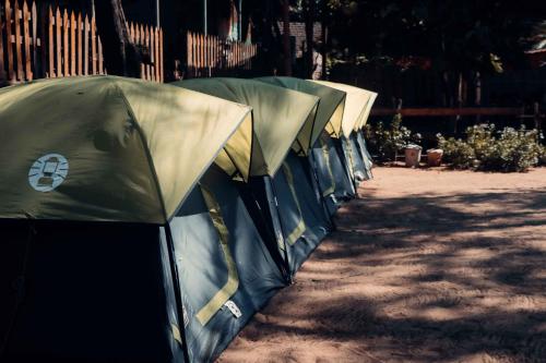 Foto sihtkohas Gokarna asuva majutusasutuse Trippr Gokarna - Beach Hostel galeriist