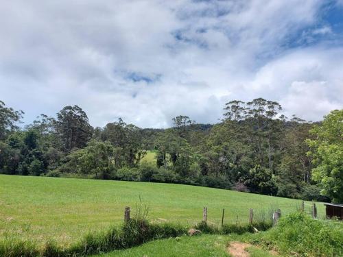 a field of green grass with trees in the background at Bellingen Guest Suite with Forest Views in Brierfield