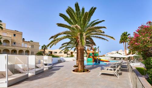 a palm tree next to a pool at a resort at Globales Cala'n Bosch in Cala'n Bosch