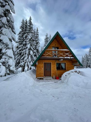 a log cabin in the snow with trees at Ville Uskoci in Žabljak