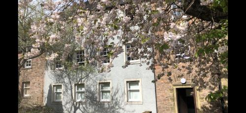 Historic Old Town 2 Bed Ground Floor Apartment