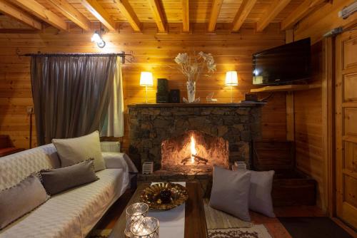 a living room with a couch and a fireplace at Dryades Suites in Synikia Mesi Trikalon
