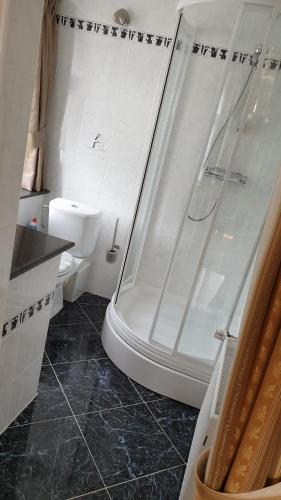 a bathroom with a shower and a sink and a toilet at Le Prangeleux in Tenneville