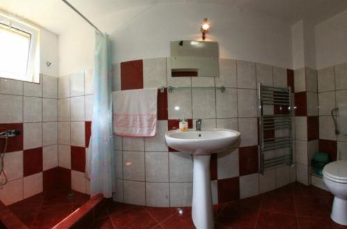 a bathroom with a sink and a toilet at Pensiunea Vătafu in Gura Râului