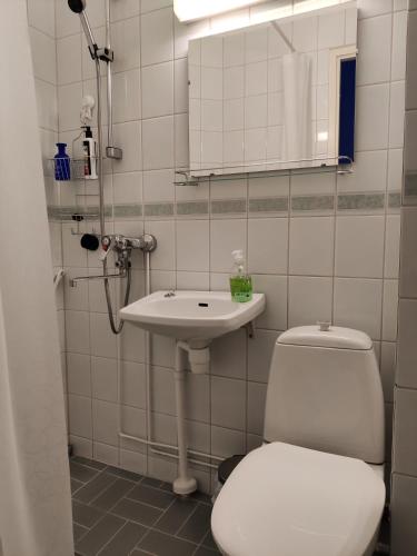 Koupelna v ubytování Hotelli Merikotka