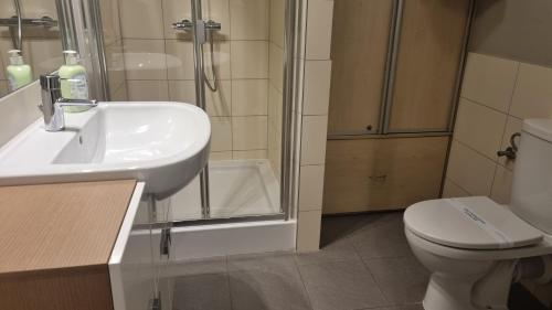 a bathroom with a sink and a toilet and a shower at PRESTIGE PARK Apartament MINI z parkingiem in Krynica Zdrój