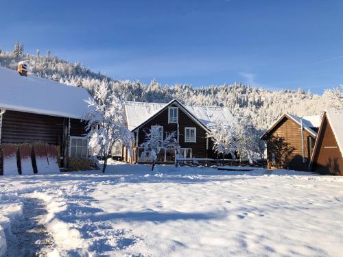 een groep huizen in de sneeuw met bomen bij Greenwood in Tukhlya