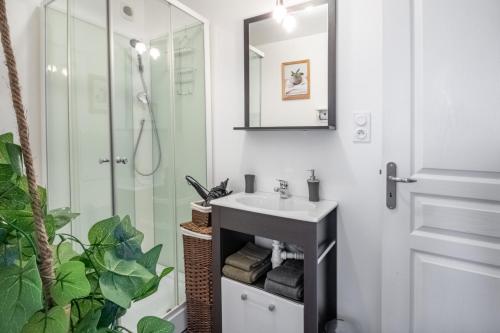 a bathroom with a sink and a shower at Le Grand Cancalais in Cancale