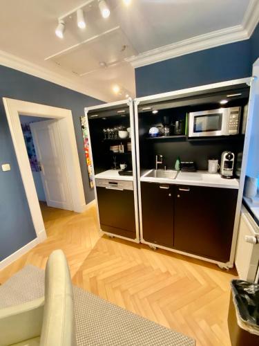a kitchen with black and white appliances in a room at Villa am Steinhuder Meer App Suite-La Fleur-mit Pantry Küche, Luftreinigungssystem, Garten, WLAN in Steinhude