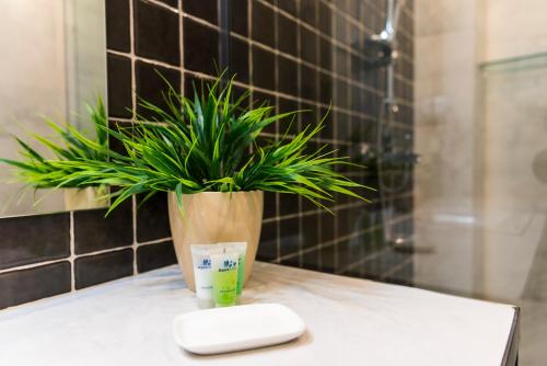 a remote control and a plant on a counter in a bathroom at Sani Apart Hotel in Tbilisi City