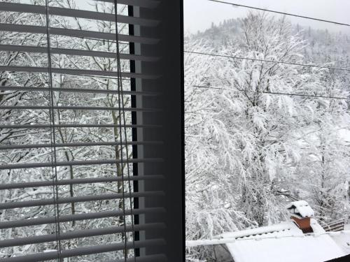 Mini-Hotel Serpanok en invierno