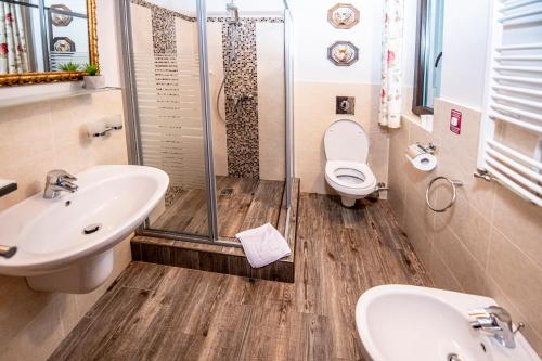 a bathroom with a sink and a toilet and a shower at Villa Diva in Budureasa
