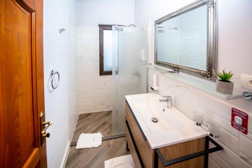 a bathroom with a sink and a mirror and a shower at Villa Diva in Budureasa